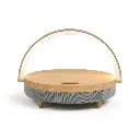 enceinte-led-chargeur-induction-fast-charge.webp