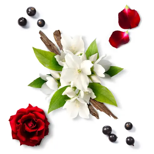 mau157-2.webp