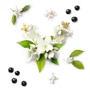 mauboussin-my-twist-travel-edition_1_.webp